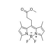 bodipy493-ester